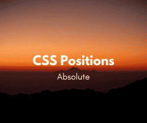 Como utilizar a position absolute?