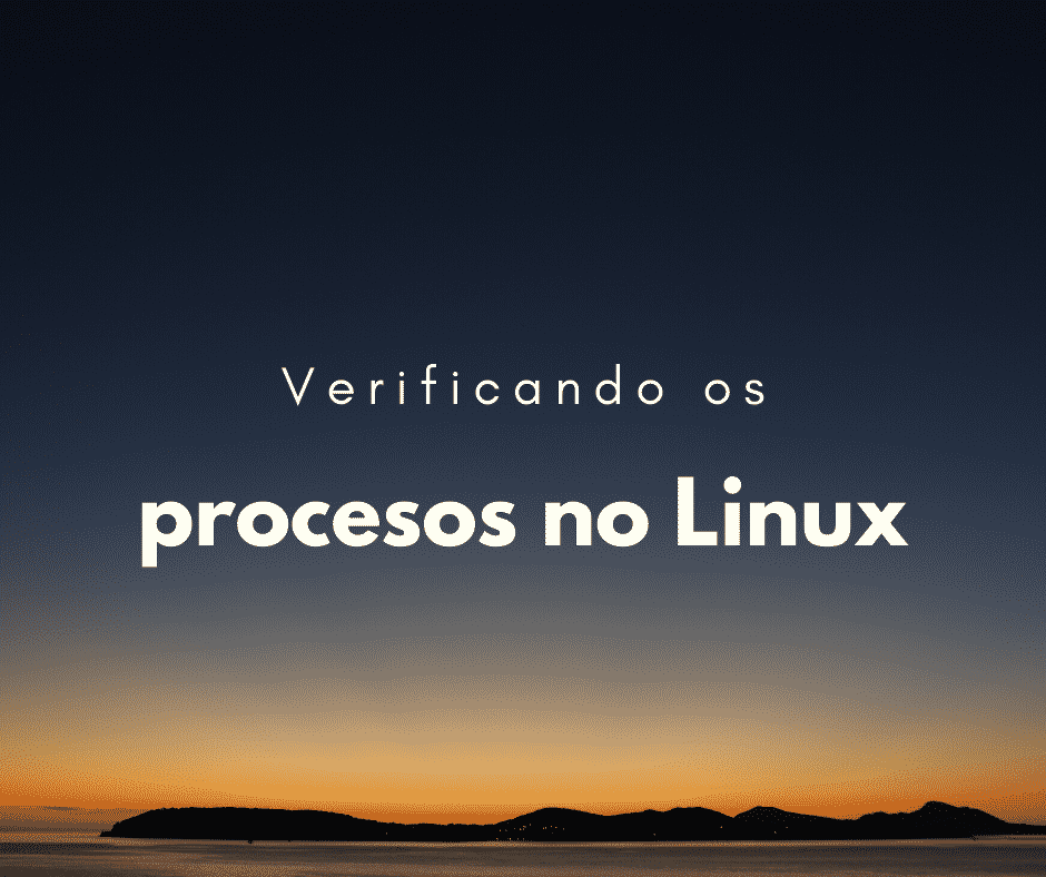 Ver os processos rodando no Linux (top/htop)