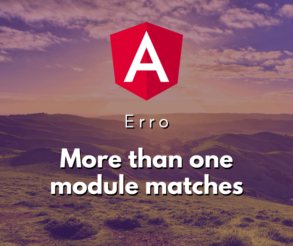 Resolvendo o Erro More than one module matches no Angular